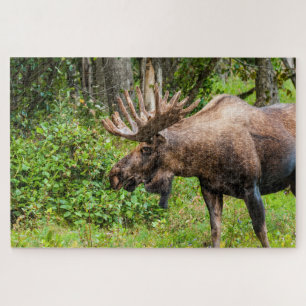 Moose   Kenai Peninsula, Alaska Jigsaw Puzzle