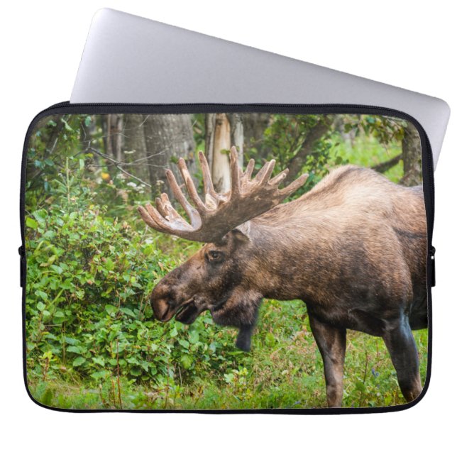 Moose | Kenai Peninsula, Alaska Laptop Sleeve (Front)