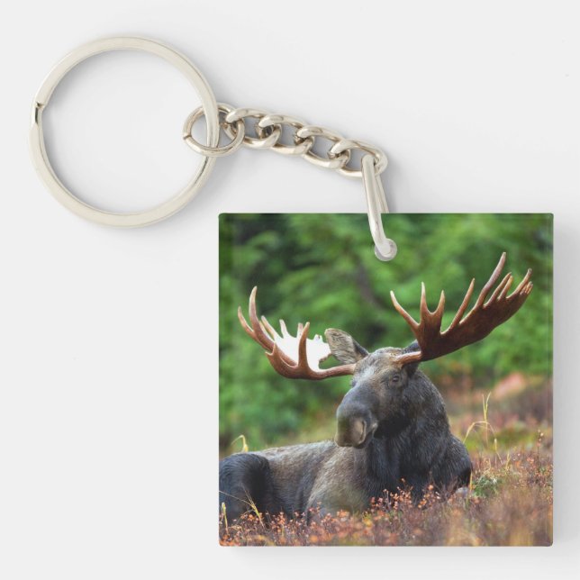 Moose Key Ring (Front)