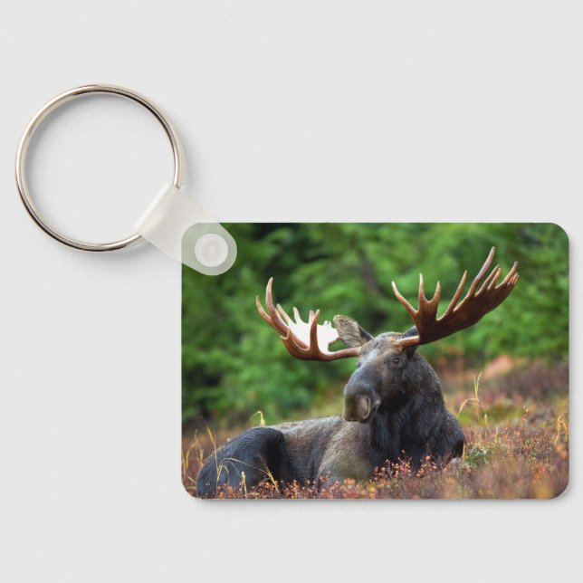 Moose Key Ring (Back)