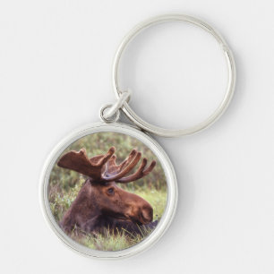 Moose Lounging Keychain