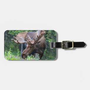 Moose luggage tag