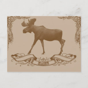 moose maine postcard