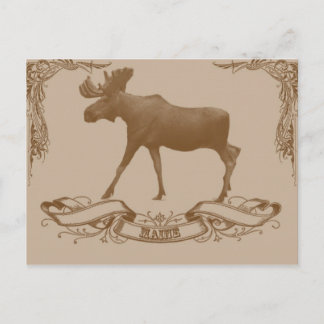 moose maine postcard