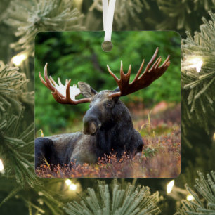 Moose Metal Tree Decoration