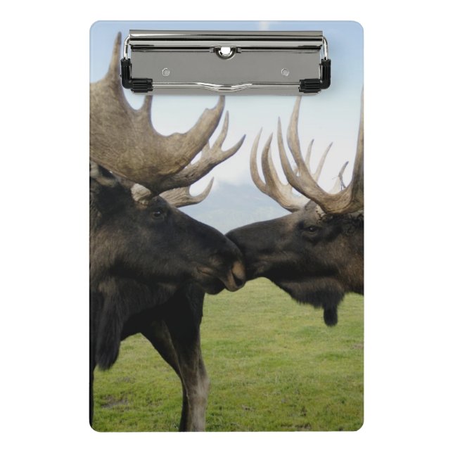 Moose Mini Clipboard (Front)