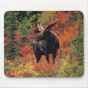 moose mouse mat