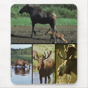 Moose Mouse Mat