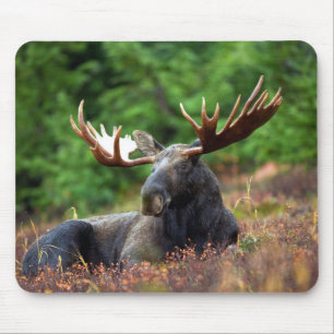 Moose Mouse Mat