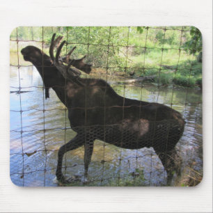 Moose Mouse Mat