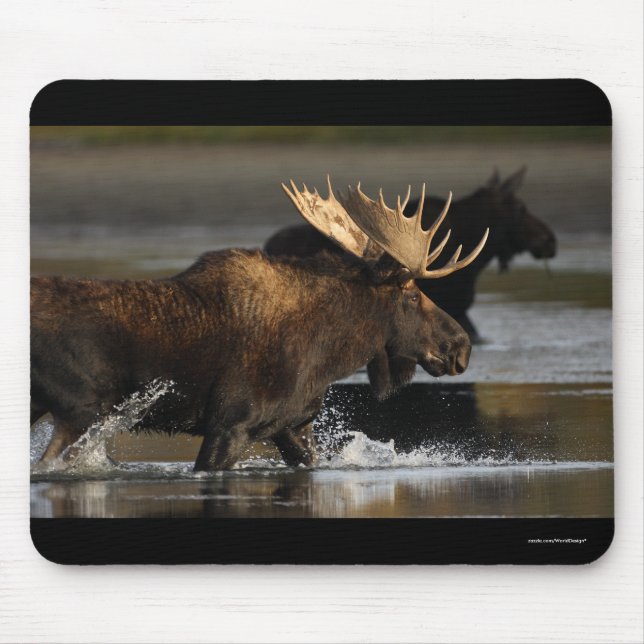 Moose Mouse Mat (Front)