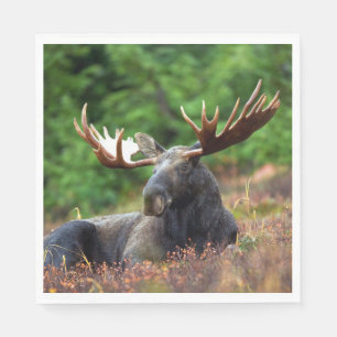 Moose Napkin