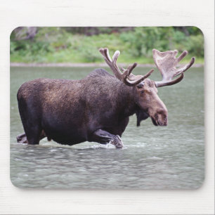 Moose on a Mission Mouse Mat