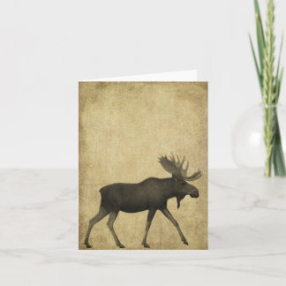 Moose On The Loose- Prim Lil Note Cards