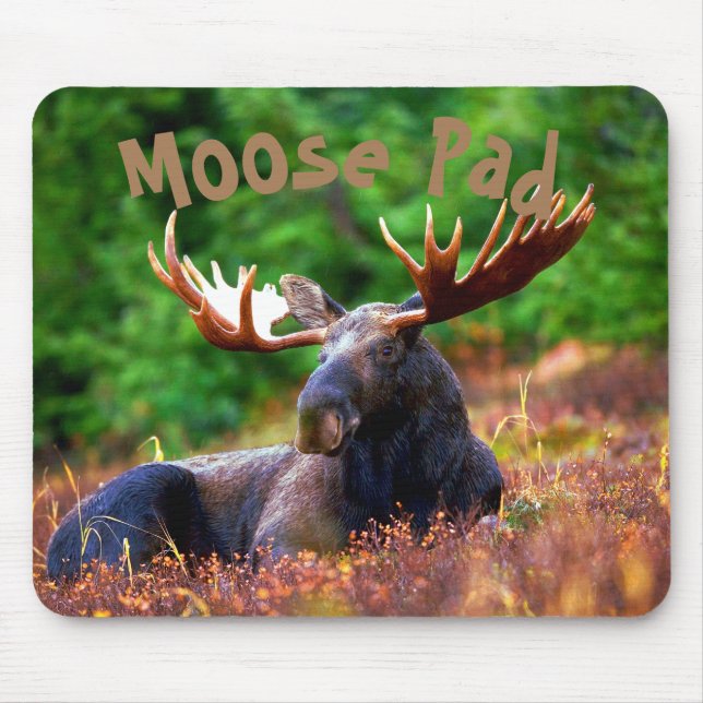 Moose Pad Mouse Mat (Front)