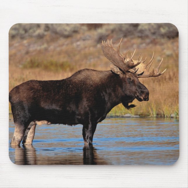 Moose Pad Mouse Mat (Front)