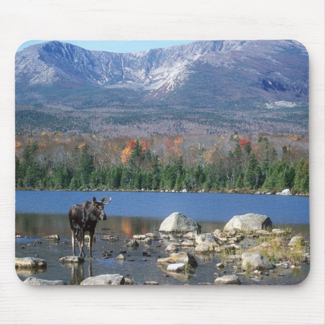 Moose Pad Mouse Mat (Front)