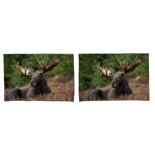 Moose Photo Woodland, Forest, Nature Pillowcase