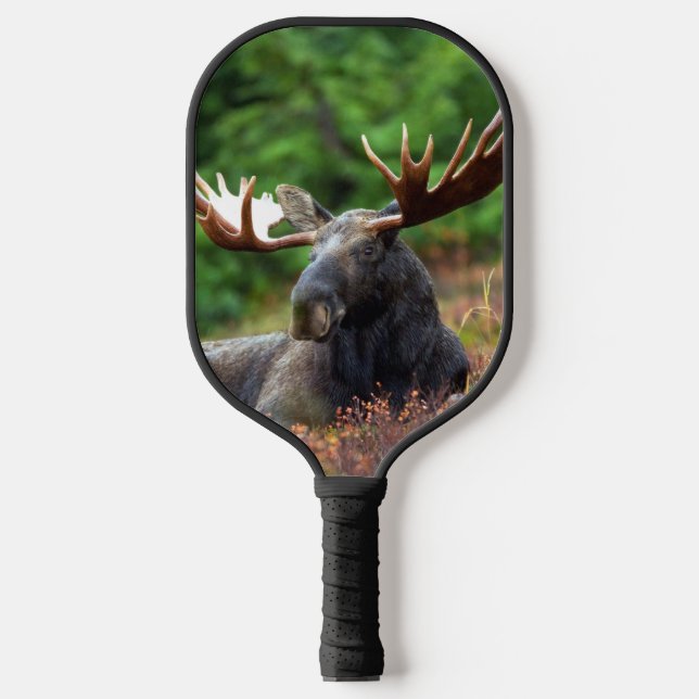 Moose Pickleball Paddle (Front)