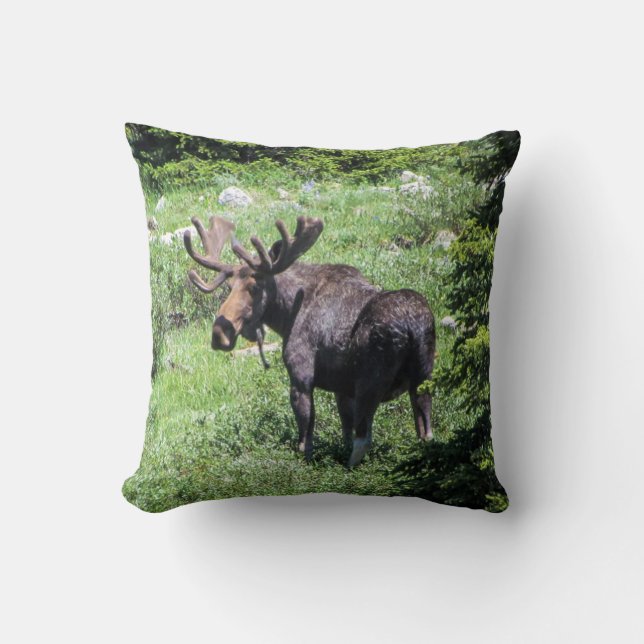 Moose Pillow (Front)