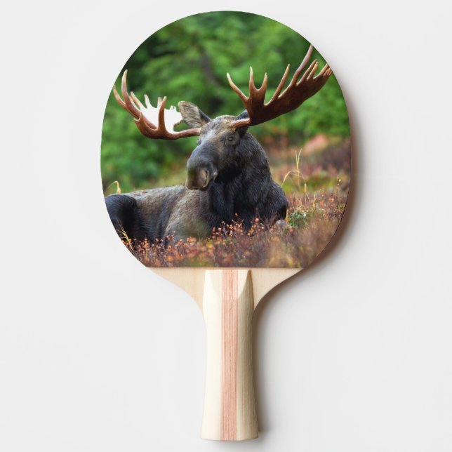 Moose Ping Pong Paddle (Front)