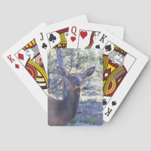 Moose Playing Cards