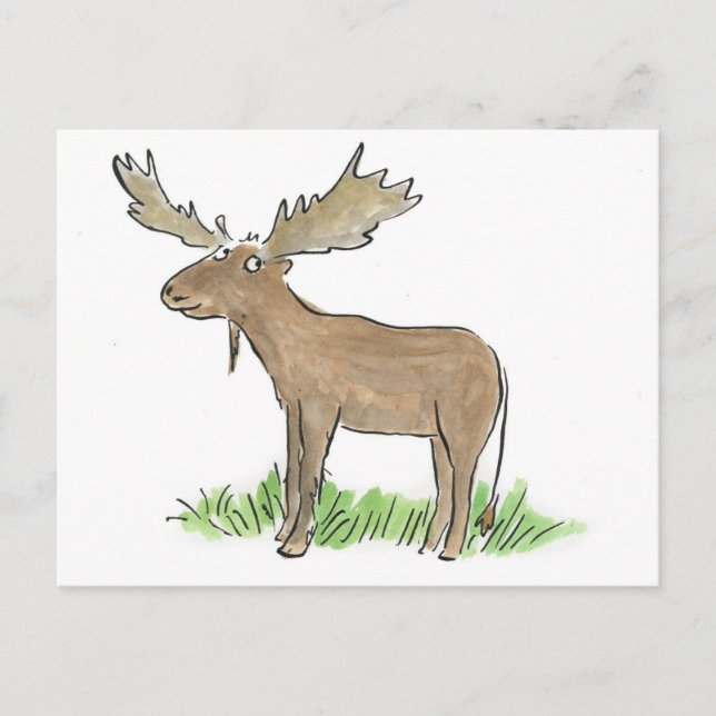 Moose Postcard (Front)