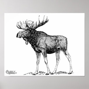 Moose Poster