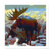 Moose Print