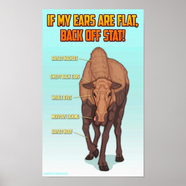 Moose Safety Graphic Poster Print (Front)