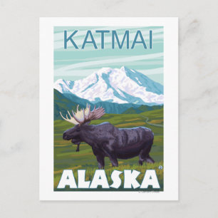 Moose Scene - Katmai, Alaska Postcard