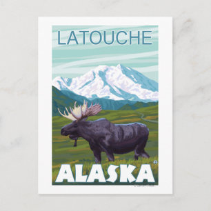 Moose Scene - Latouche, Alaska Postcard
