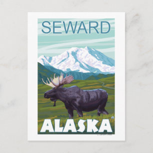 Moose Scene - Seward, Alaska Postcard