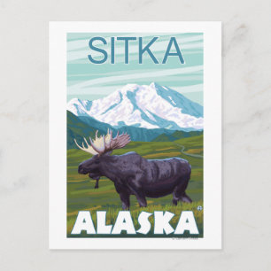 Moose Scene - Sitka, Alaska Postcard