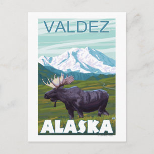 Moose Scene - Valdez, Alaska Postcard