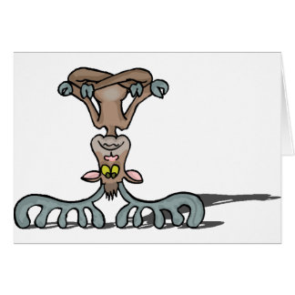 Moose Shirts and Gifts 47