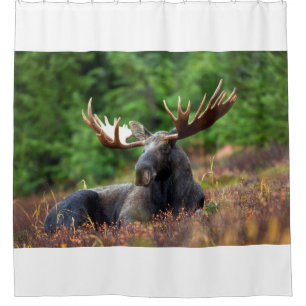 Moose Shower Curtain