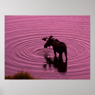 Moose Silhouette Poster