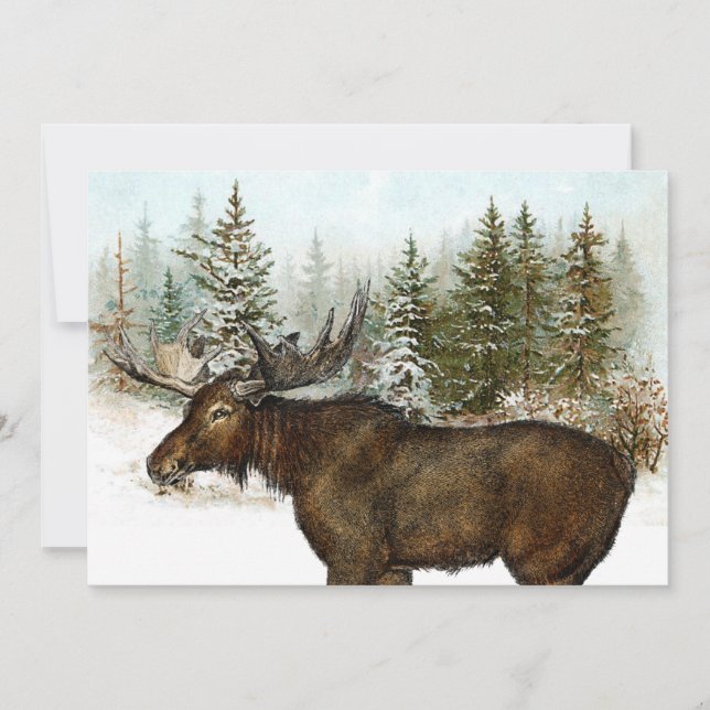 Moose Snowy Forest Nature Winter Holiday Vintage  (Front)