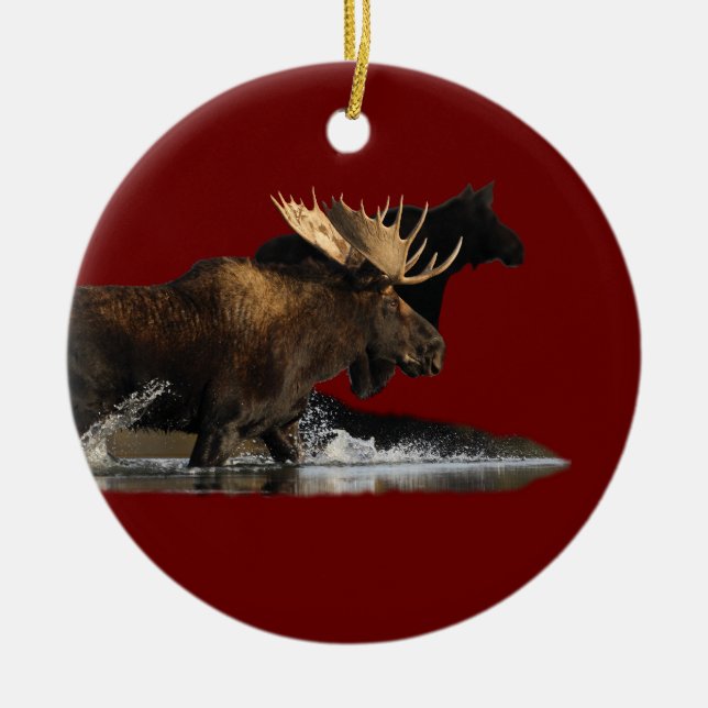 moose splash ceramic tree decoration (Front)