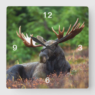 Moose Square Wall Clock