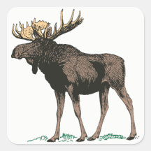 Moose Stickers
