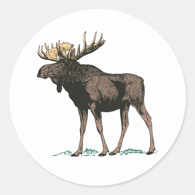 Moose Stickers (Front)