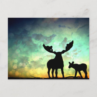 Moose Sunrise Postcard