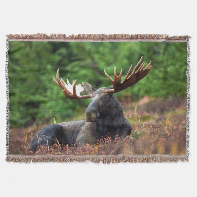Moose Throw Blanket (Front)