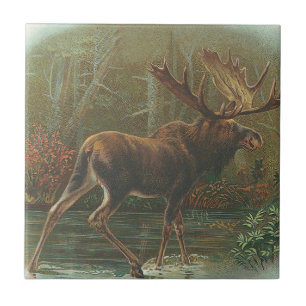 Moose Tile