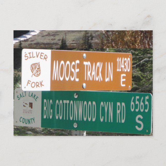 Moose Track Lane Postcard (Front)