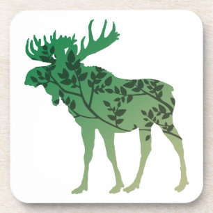 Moose Tree Coaster