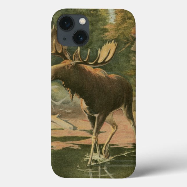 Moose Walking in Water Case-Mate iPhone Case (Back)