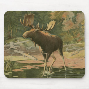 Moose Walking in Water Mouse Mat